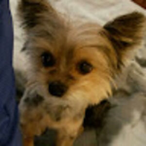 Meet your Posher, Irene